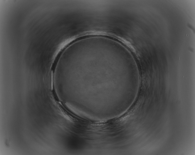 X0000093231223200709261645