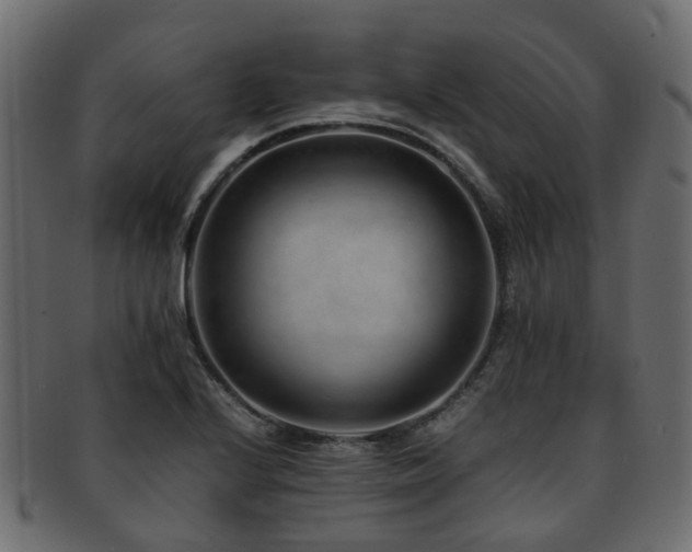 X0000093231224200709261645