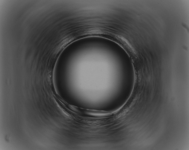 X0000093231225200709261645