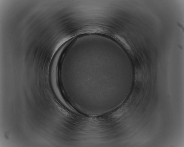 X0000093231226200709261645