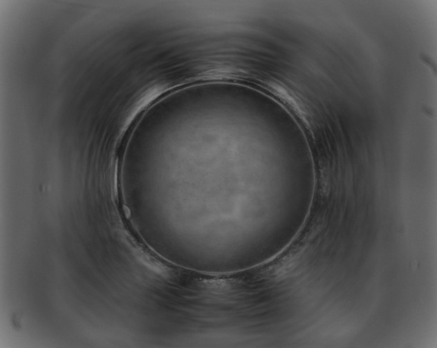 X0000093231227200709261645