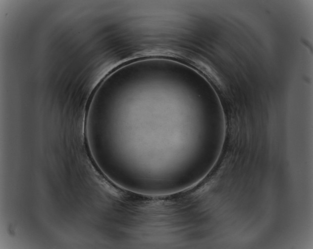 X0000093231228200709261645