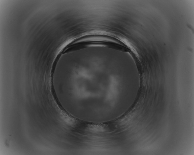 X0000093231229200709261645