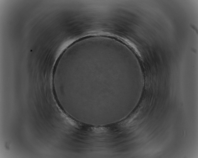 X0000093231231200709261645