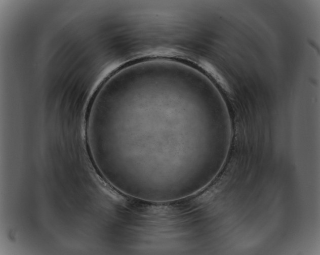 X0000093231232200709261645