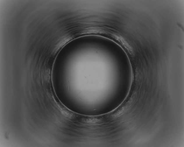 X0000093231233200709261645