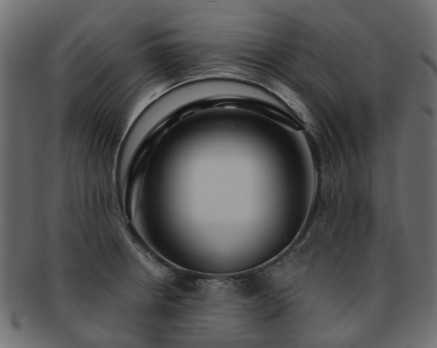 X0000093231234200709261645