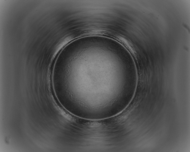 X0000093231235200709261645