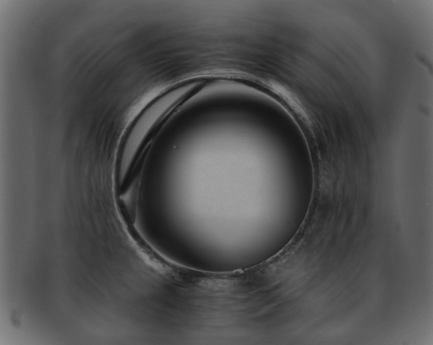 X0000093231237200709261645
