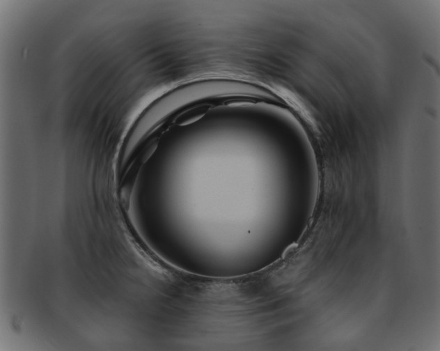 X0000093231238200709261645