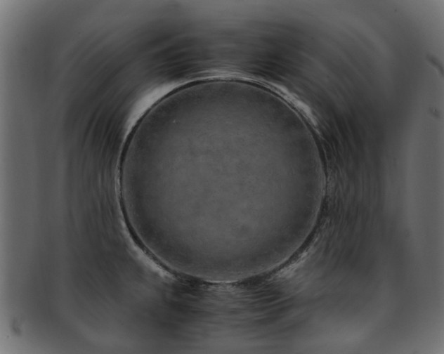X0000093231239200709261645