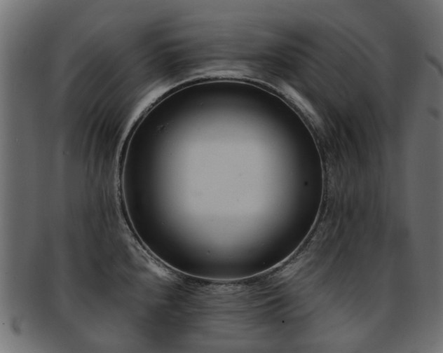 X0000093231240200709261645