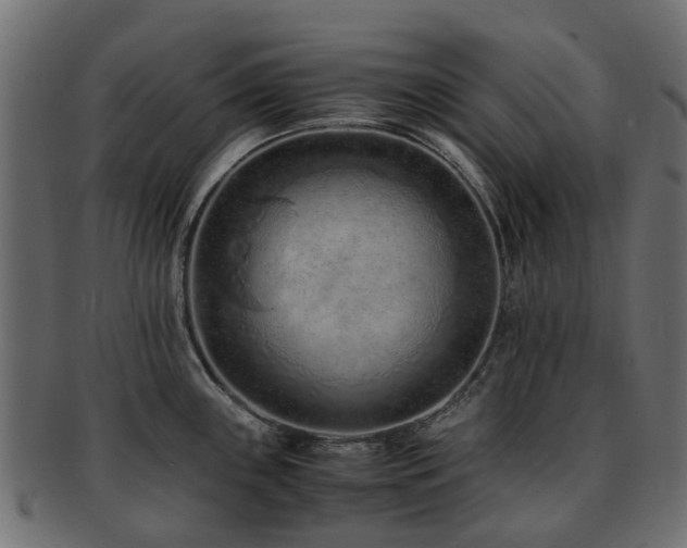 X0000093231243200709261645
