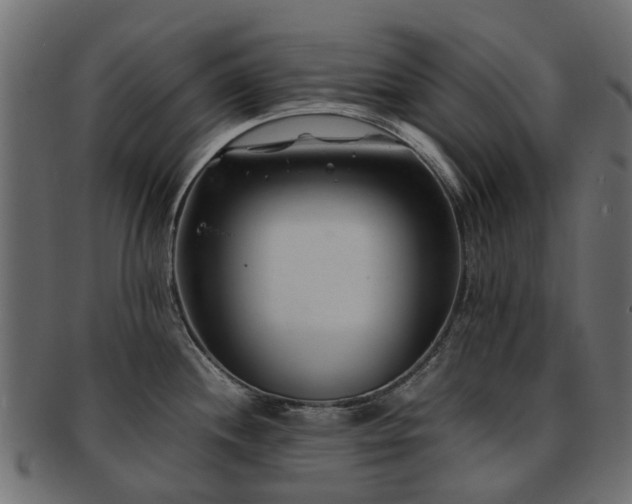 X0000093231244200709261645