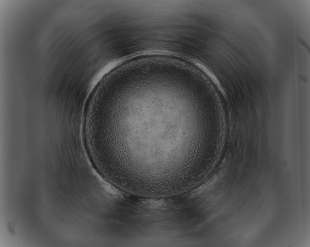 X0000093231245200709261645