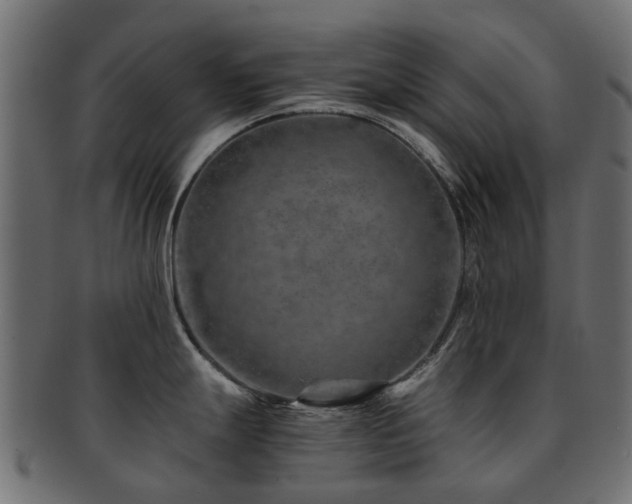 X0000093231247200709261645