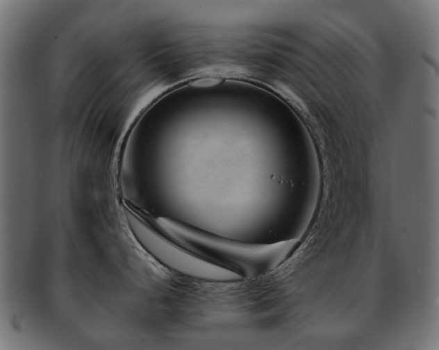 X0000093231248200709261645