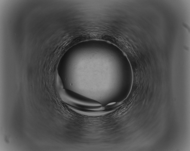 X0000093231249200709261645
