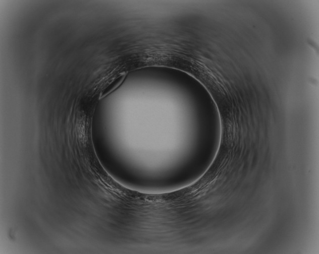 X0000093231250200709261645