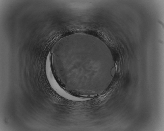 X0000093231251200709261645