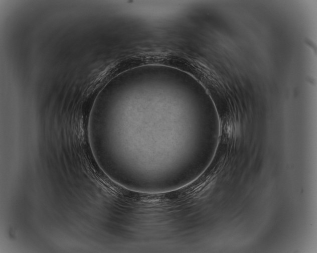 X0000093231252200709261645