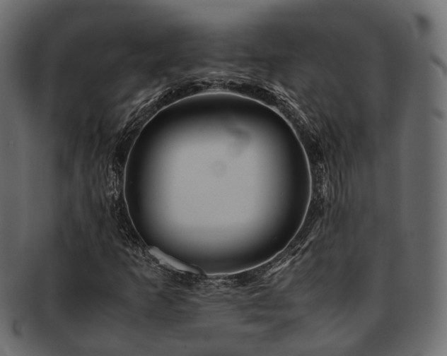 X0000093231253200709261645