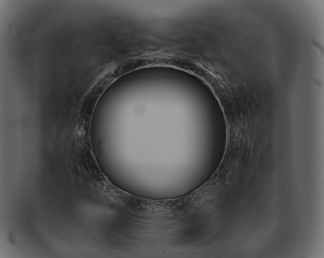 X0000093231254200709261645