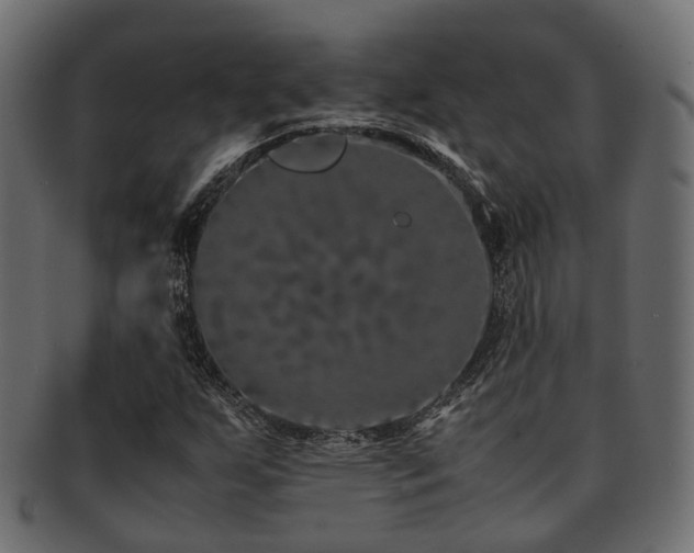 X0000093231255200709261645