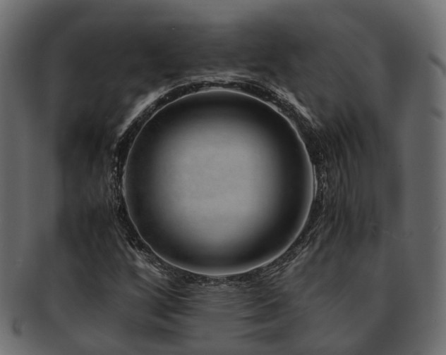 X0000093231256200709261645
