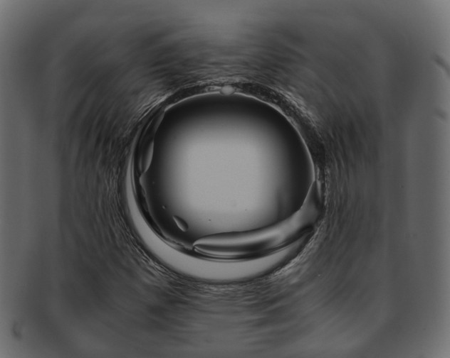 X0000093231257200709261645