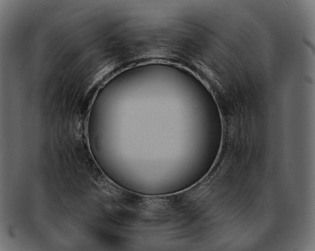 X0000093231258200709261645
