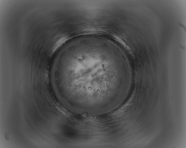 X0000093231259200709261645