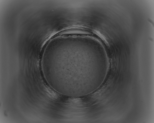 X0000093231260200709261645