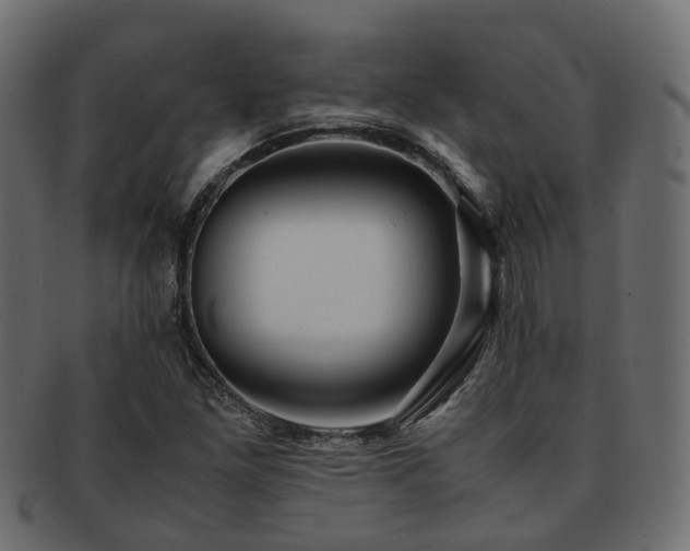 X0000093231261200709261645