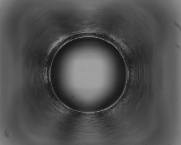 X0000093231262200709261645