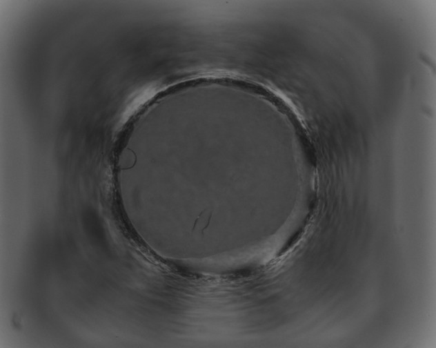 X0000093231263200709261645