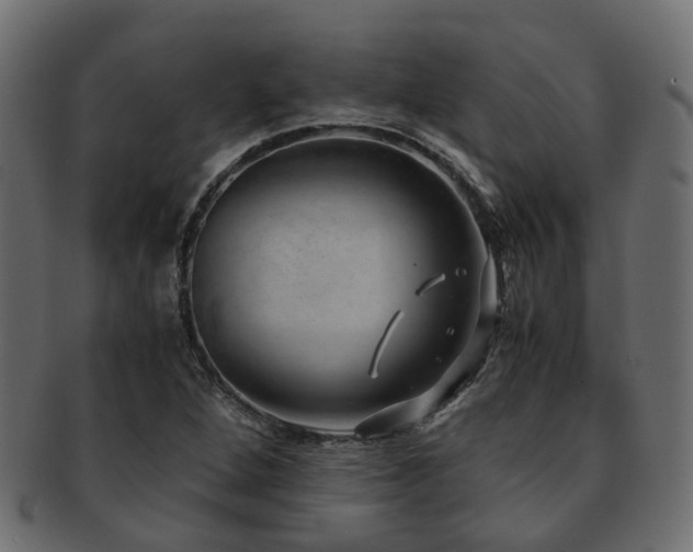 X0000093231264200709261645