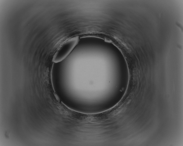X0000093231265200709261645
