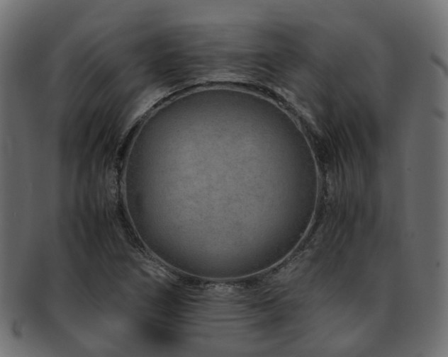 X0000093231266200709261645