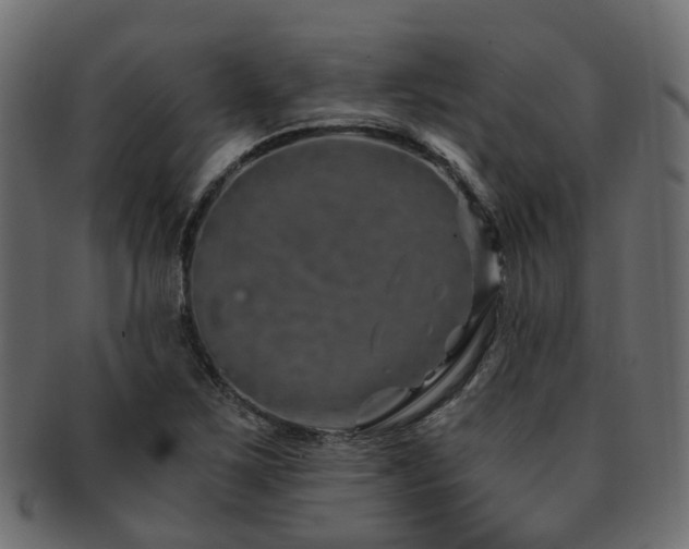 X0000093231267200709261645