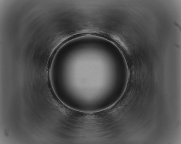 X0000093231268200709261645