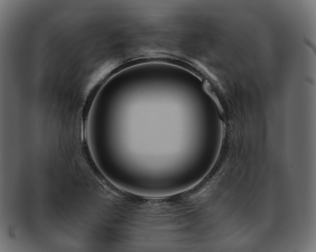 X0000093231269200709261645