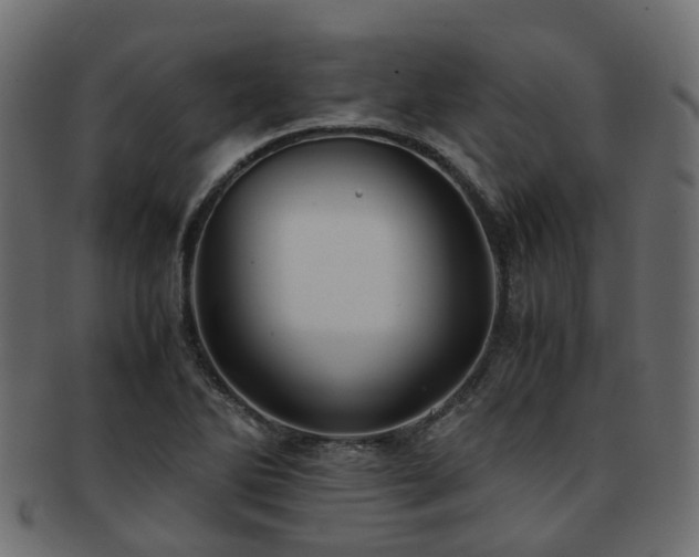 X0000093231270200709261645