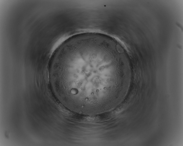 X0000093231271200709261645