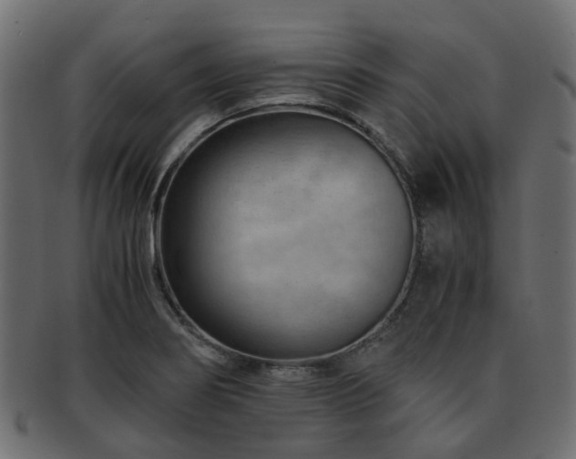 X0000093231274200709261644