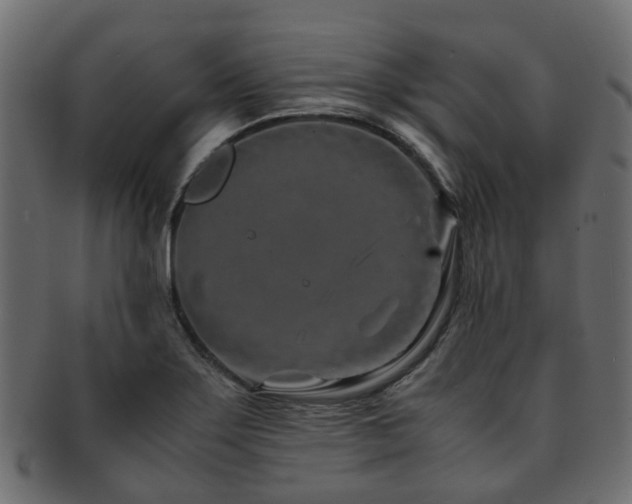 X0000093231275200709261644