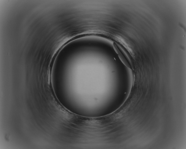 X0000093231276200709261644