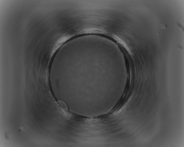 X0000093231277200709261644