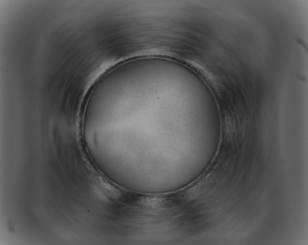X0000093231278200709261644