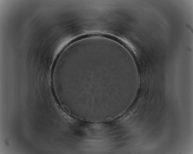 X0000093231279200709261644